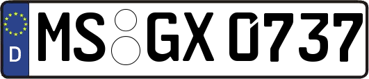 MS-GX0737