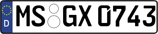 MS-GX0743