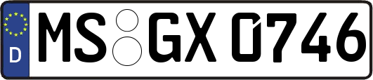 MS-GX0746