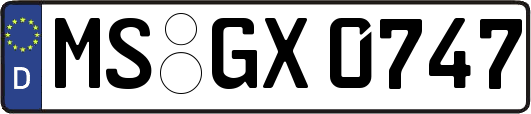 MS-GX0747