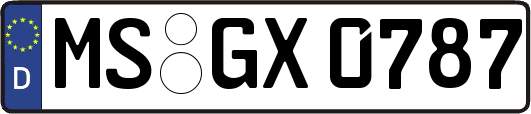 MS-GX0787