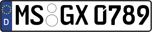 MS-GX0789