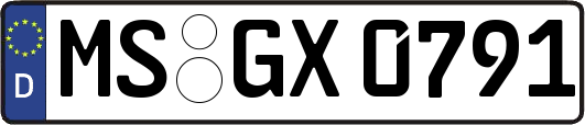 MS-GX0791