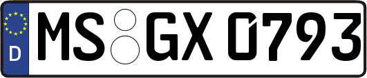 MS-GX0793