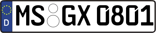 MS-GX0801