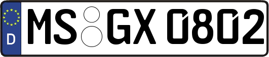 MS-GX0802