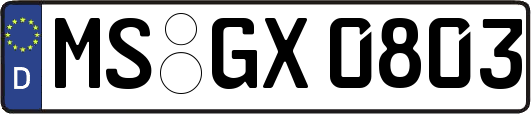 MS-GX0803