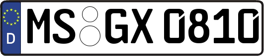 MS-GX0810