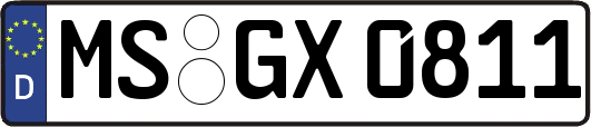 MS-GX0811