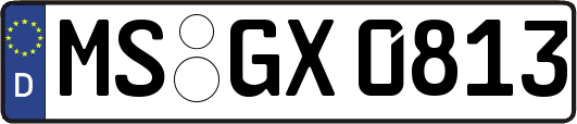 MS-GX0813