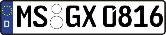 MS-GX0816