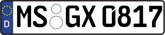 MS-GX0817