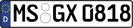 MS-GX0818