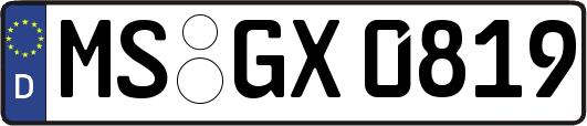 MS-GX0819