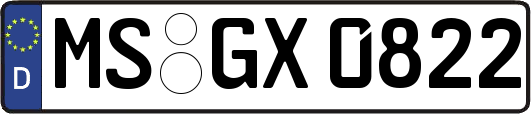 MS-GX0822