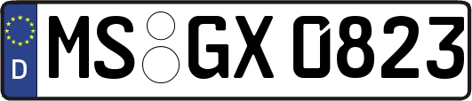 MS-GX0823