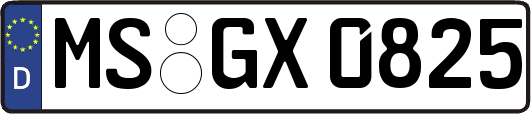 MS-GX0825