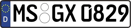 MS-GX0829