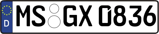 MS-GX0836