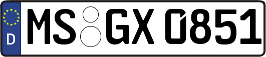 MS-GX0851
