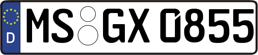 MS-GX0855