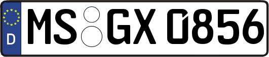 MS-GX0856