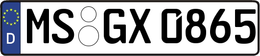MS-GX0865