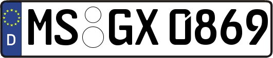 MS-GX0869