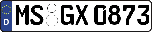 MS-GX0873
