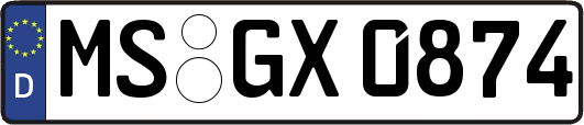 MS-GX0874