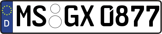 MS-GX0877