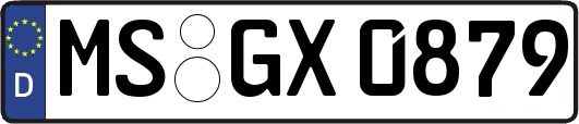 MS-GX0879