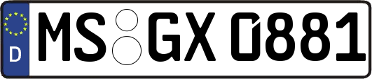 MS-GX0881