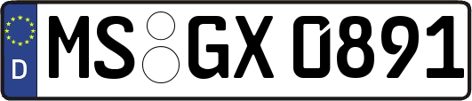 MS-GX0891
