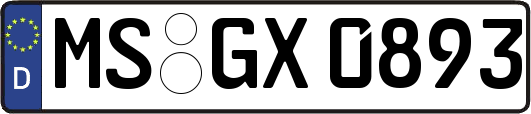 MS-GX0893