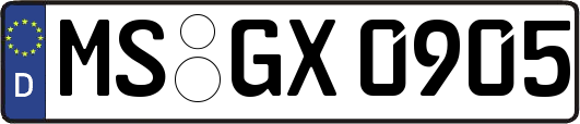 MS-GX0905