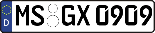 MS-GX0909