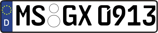 MS-GX0913