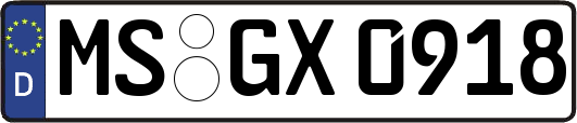 MS-GX0918