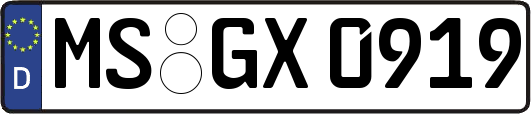 MS-GX0919