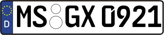 MS-GX0921