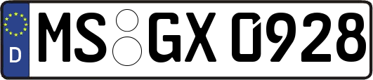MS-GX0928