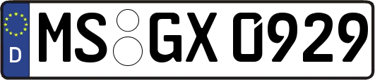 MS-GX0929