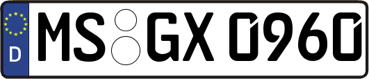 MS-GX0960