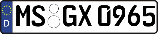 MS-GX0965