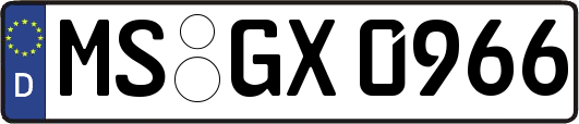 MS-GX0966