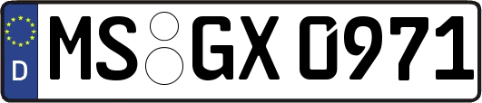 MS-GX0971