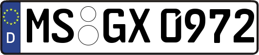 MS-GX0972