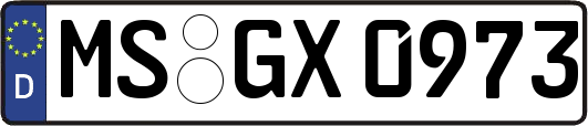 MS-GX0973