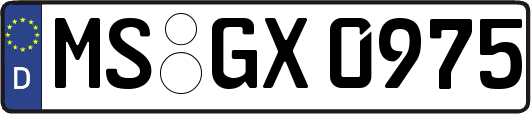 MS-GX0975
